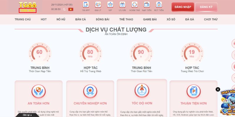 Chính sách điều khoản uy tín và chuyên nghiệp